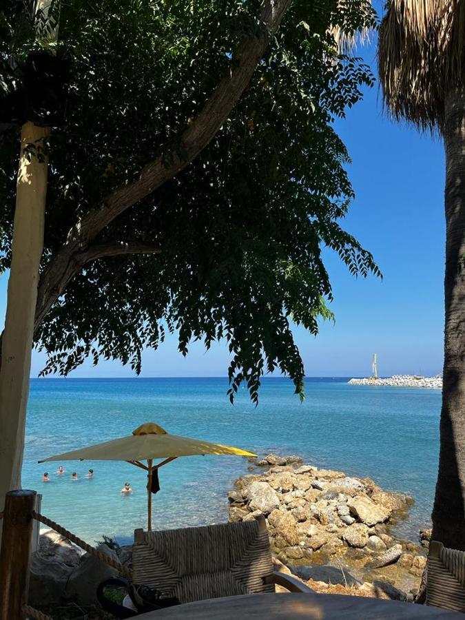 Viking Family Superior Lux Apartment Ayia Napa Bagian luar foto